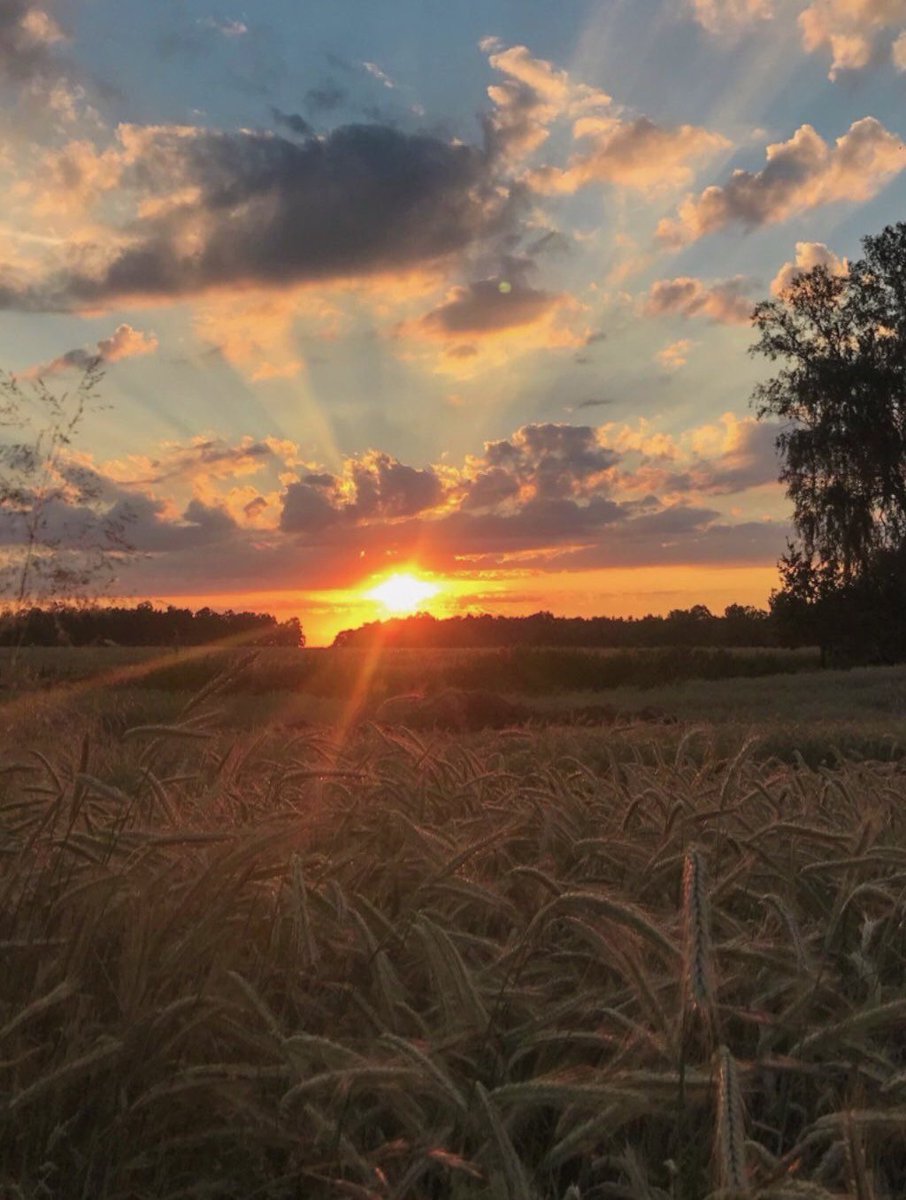 abro hilo de fotos de atardeceres tomadas por ustedes: