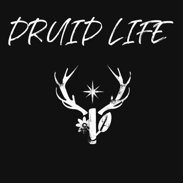 DruidryPagan's tweet photo. https://t.co/BgBOF01LoE
