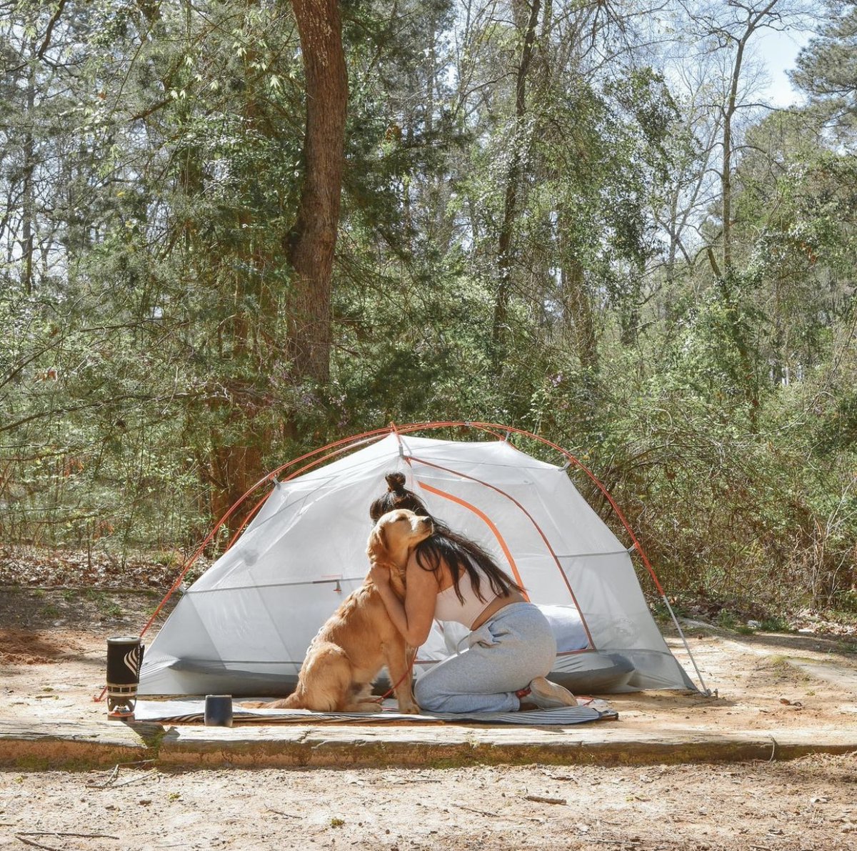 VisitTyler's tweet photo. Get your camping gear ready because Tyler State Park is calling! 🏕️ Who's excited for a spring camping adventure? Pack your bags and let's go! #camping #adventureawaits #TylerStatePark https://t.co/sgrqvBSbQl