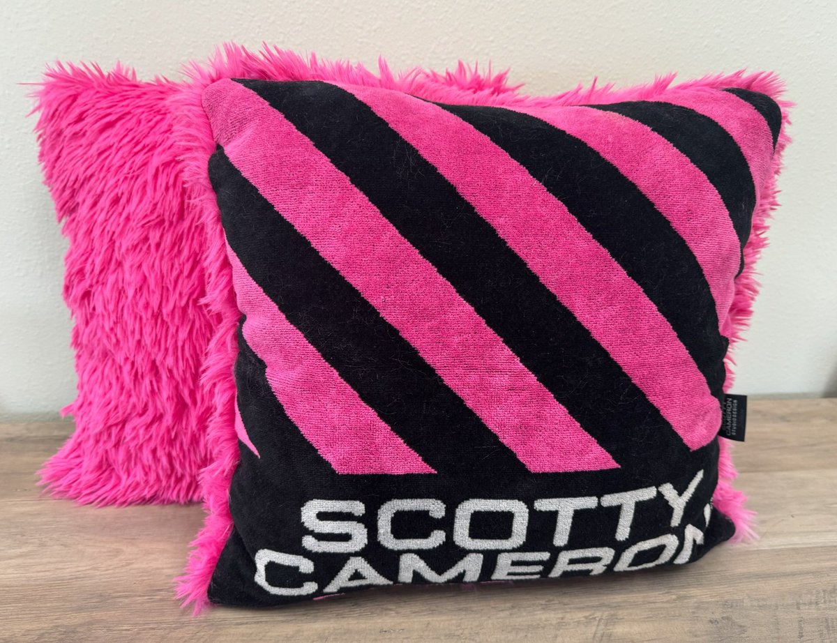 namesonthebag's tweet photo. @acaseofthegolf1 Pillows should work, start slow.... https://t.co/ewY8IVqedE