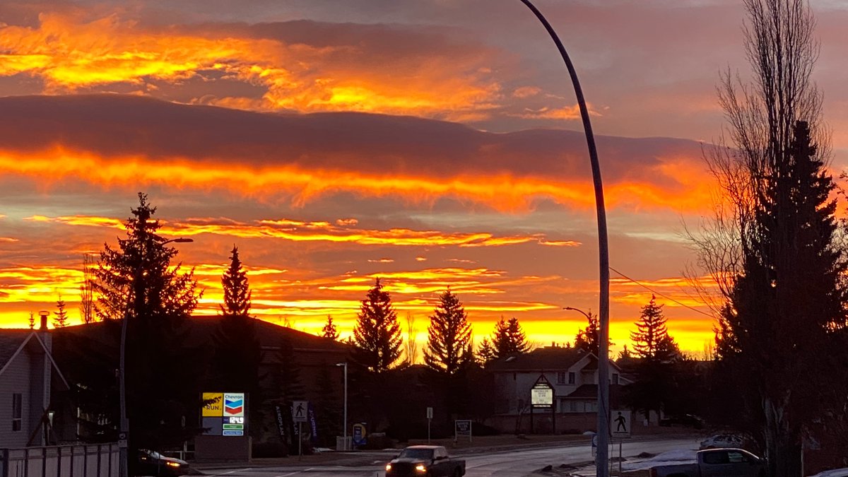 AUTHOR_SANDRA_M's tweet image. What a gorgeous morning for my artist walk. To see this amazing work of perfection laid out across the sky is a treasure!
#sunrise #artistwalk #writeforlife #writing #creatives #sun #sky #writingcommunity #writerslife #writer