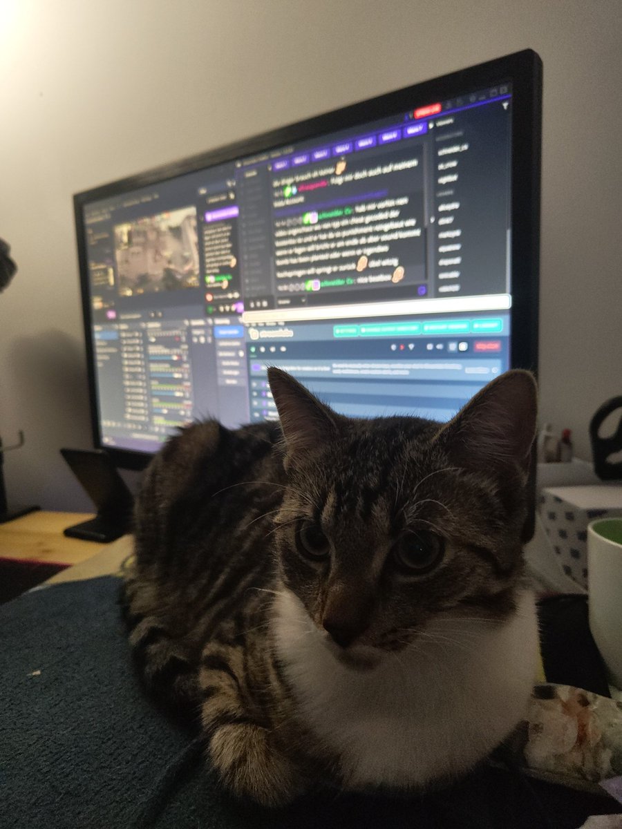 xFrauPanda's tweet photo. Wie sind live und Milo chillt daneben 🐼♥️😻🐈‍⬛

https://t.co/7uLuWWH14s https://t.co/654hNqE1p1