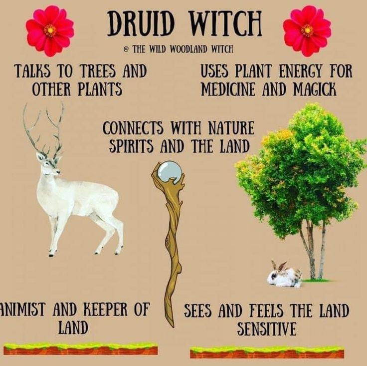 DruidryPagan's tweet photo. https://t.co/sQzkZqFTvc
