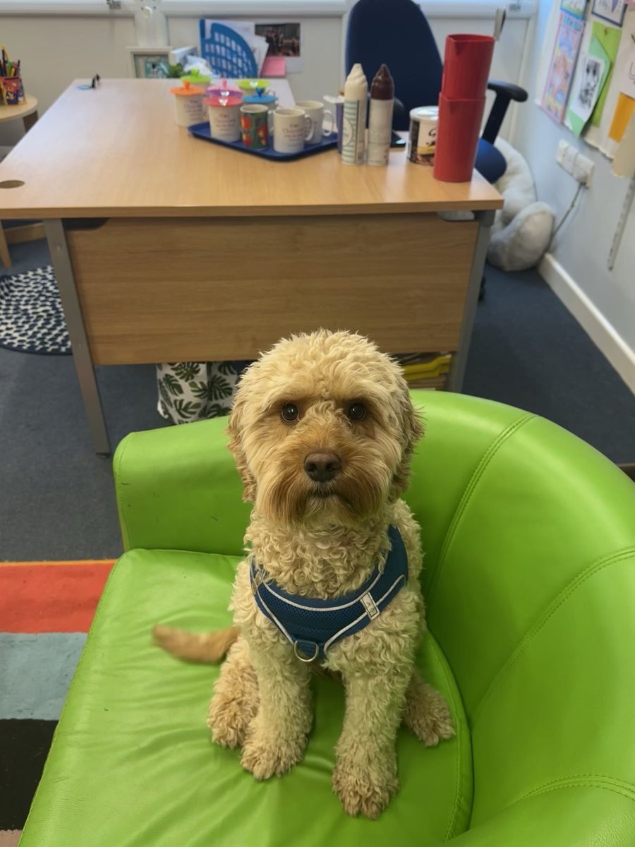TeddyDogSTMI's tweet photo. Busy day @JuniorChurchSch the usual #OPALplay @OpalCic and some #HotChocWithTheHead https://t.co/pOASWAq4RX