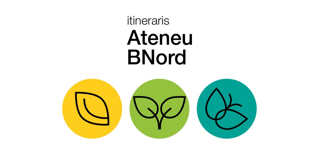 AteneuBNord tweet media