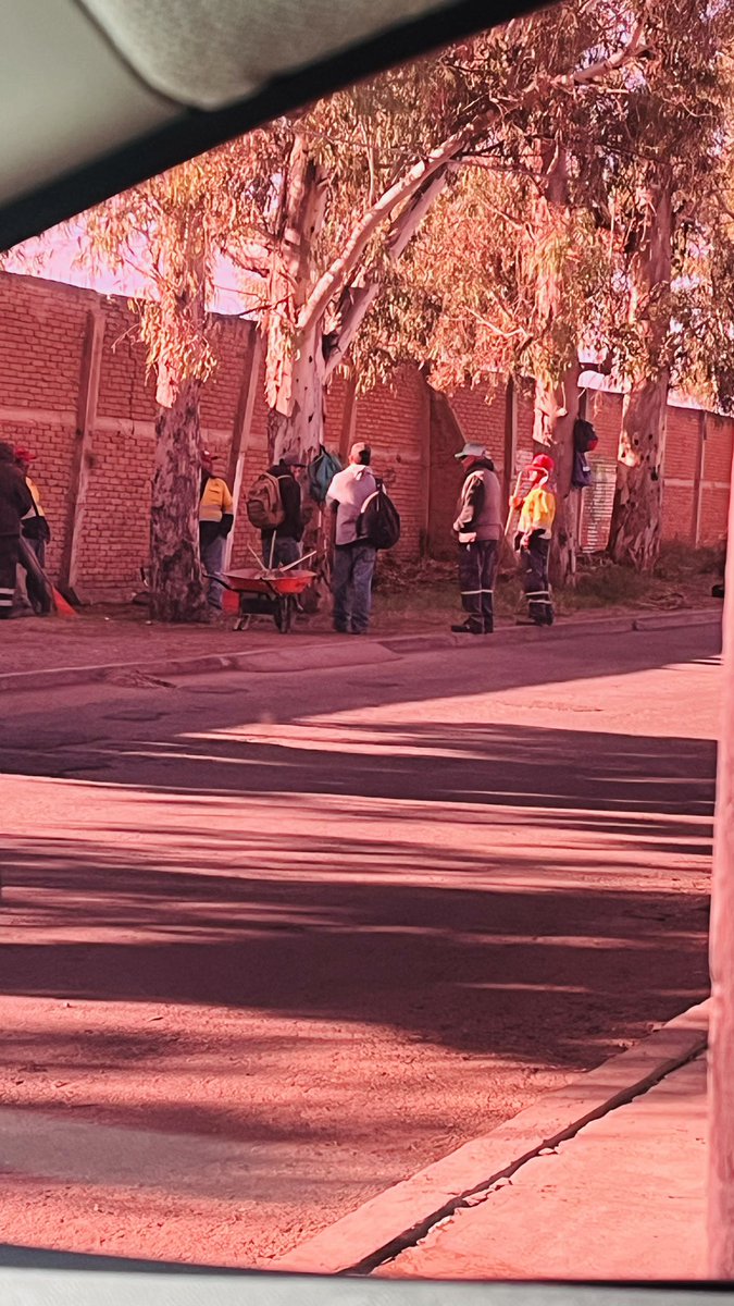 JesusCarrillo_R's tweet photo. De lo poco bueno de esta administración @DurangoCap    sin duda es @spublicos_dgo  a ellos siempre los veo trabajando, gracias por limpiar estas áreas https://t.co/44M7sBic2z