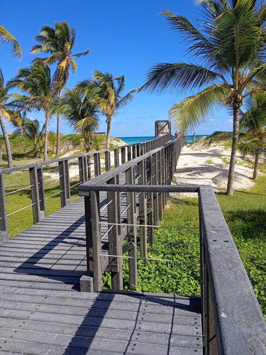 JasielOjito's tweet photo. De acuerdo con las nuevas formas de gestión no estatal, una pasarela construida y montada por la CNA ATRES con materiales biodegradables, #ECOMADERA, en el hotel PGS #Varadero.
#Cuba https://t.co/YlY2RNuIwh