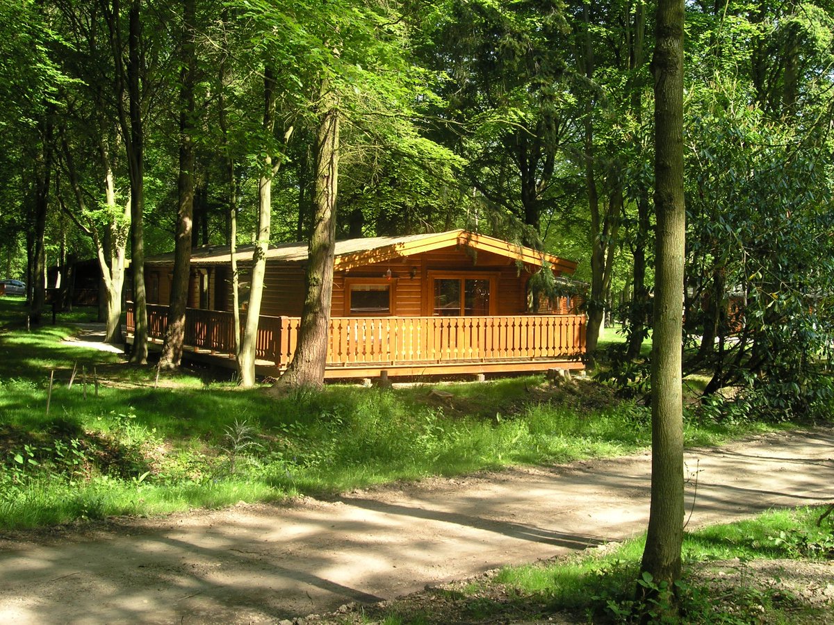 Norwegian Log tweet media