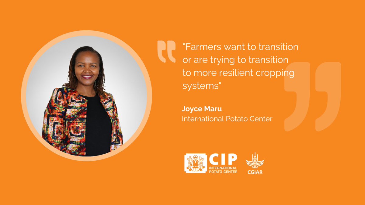 'Let's focus on what can be produced locally and then power that with science and innovation,' says @joyce_maru. Her vision for sustainable agriculture 🌱 in Africa inspires us to rethink food systems and support local farmers.

👉🏽 on.ft.com/3SgSsJw

🔸 @Cipotato
🔸 @FT