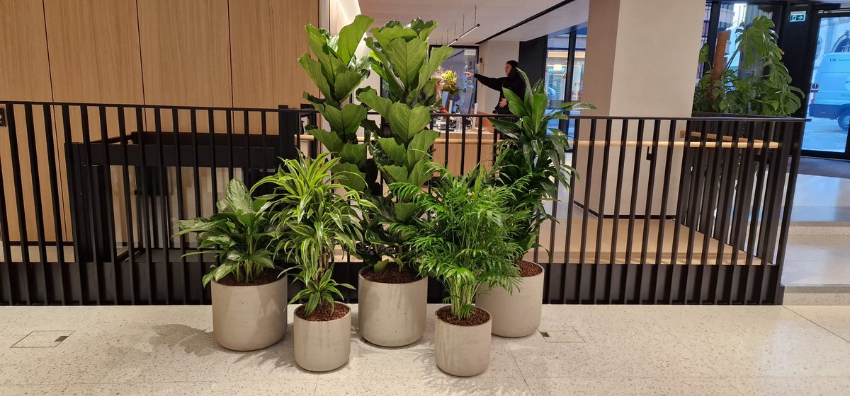 Valley Provincial tweet media