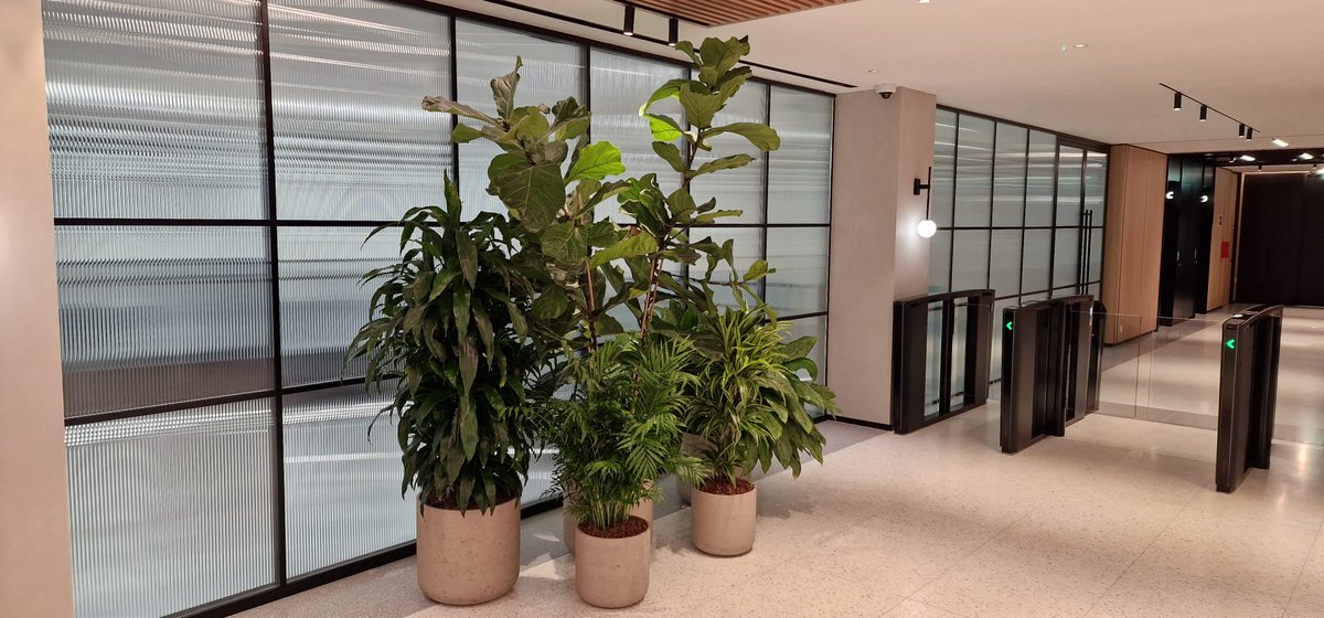 Valley Provincial tweet media