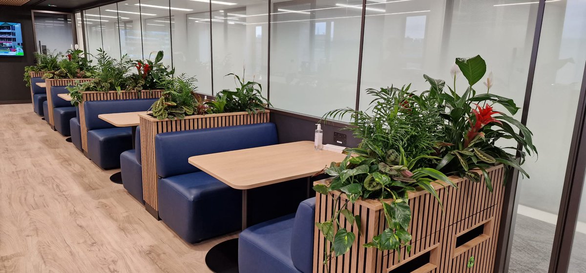 Valley Provincial tweet media