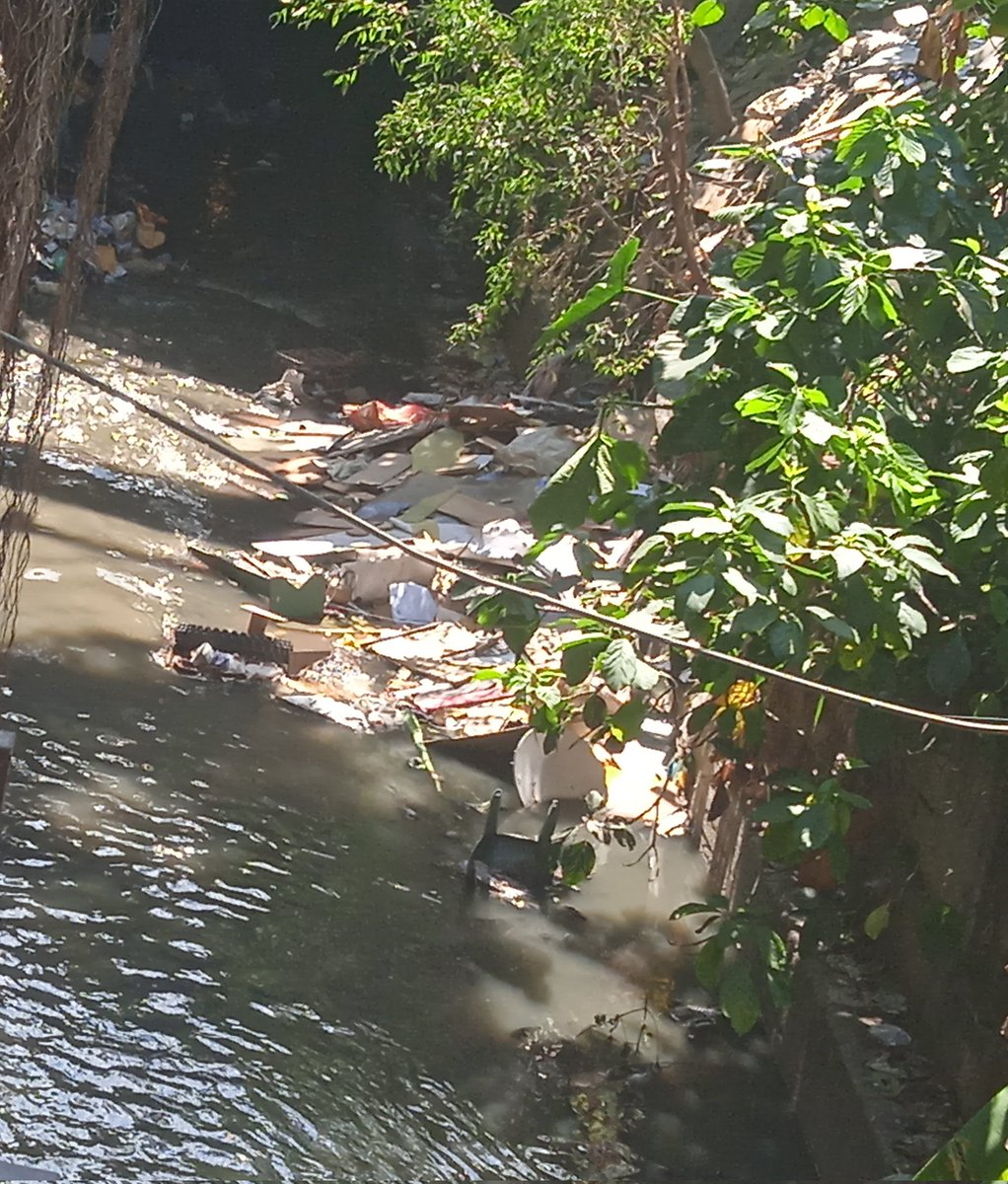 INGRIDY03027219's tweet photo. Así tienen el cauce de la Quebrada Anauco, los "Recolectores de Basura" que viven debajo el puente de la Avenida Panteón. ¿Qué pasaría si hoy llueve torrencialmente? Lo más seguro es que se tape el drenaje que desvía el agua hacia el Paseo Anauco @gestionperfecta @ReporteYa https://t.co/HIBXL6RvY9