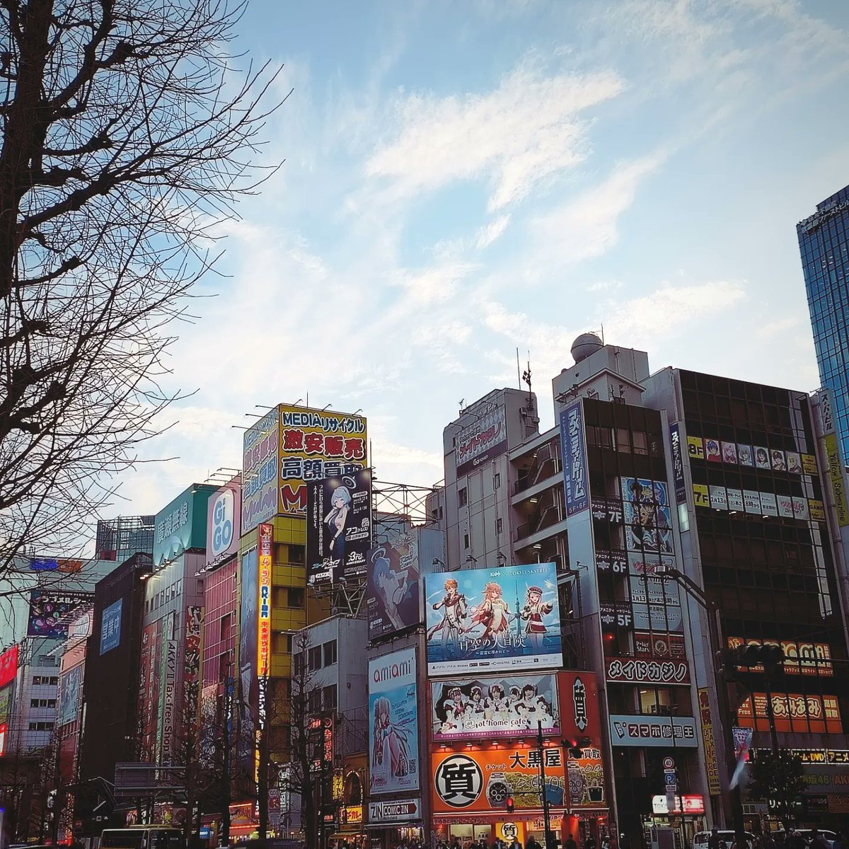 RayrenRay's tweet image. Akiba