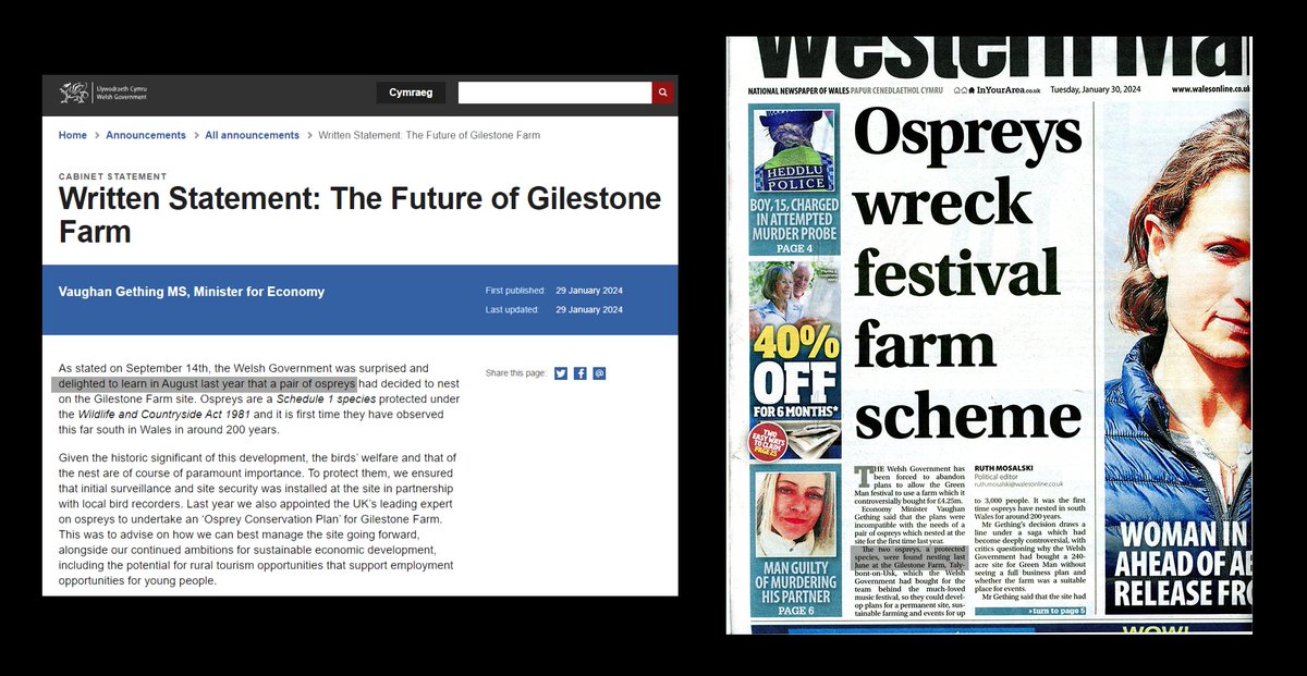 JacotheNorth's tweet photo. Yesterday @vaughangething said the @WelshGovernment was 'delighted to learn in August last year' of the ospreys.

Today's Western Mail says the birds were found 'nesting last June'.

If the WM is correct, was it really 2 months before the owner of the site was informed of the presence of rare and protected birds?

If so, why the delay? Who found the birds?

This story begins to look a little suspect.