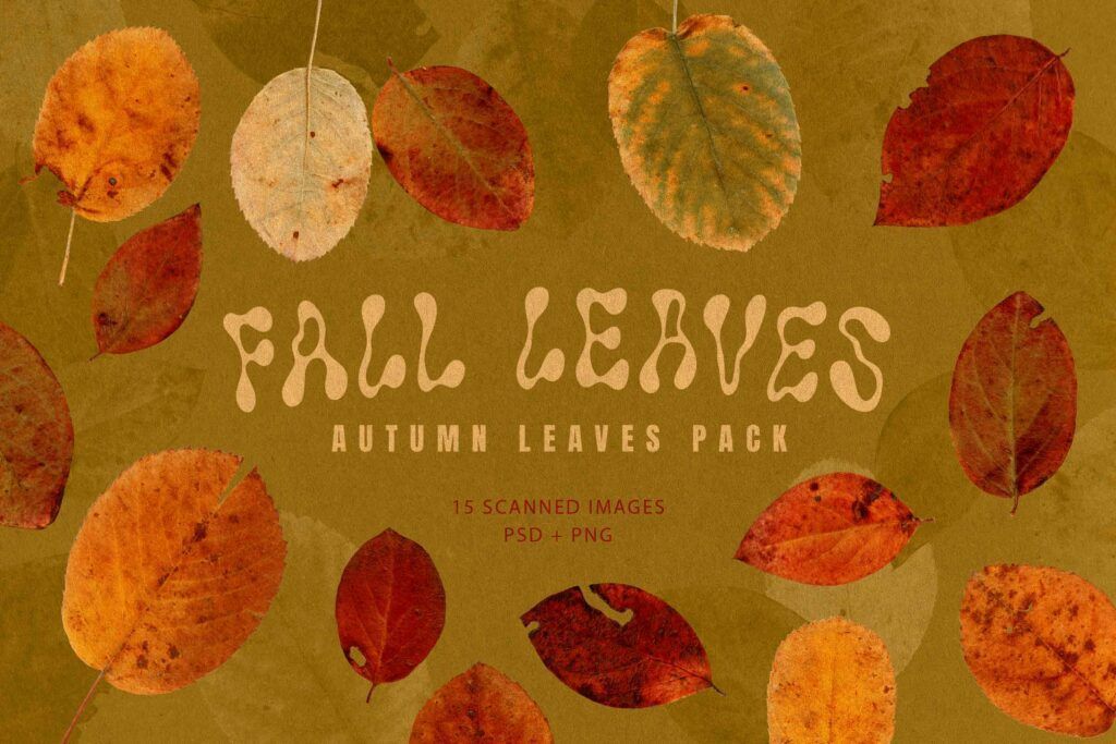 PixelSuperSpace's tweet photo. Embrace the essence of autumn with our meticulously curated Scanned Fall Leaves Pack: https://t.co/KdYcoM5Ynm https://t.co/fjVivt1M6A