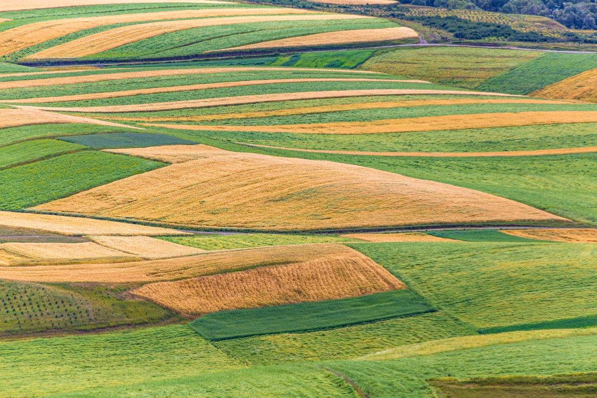 samdknowlton's tweet photo. A six-year field study revealed that, in comparison to an intensive cereal farming system, using diversified crop rotations resulted in:

–A 41% reduction in nitrogen inputs
–A 32% yield increase
–An 8% increase in soil carbon stocks
–A 45% improvement in soil health scores https://t.co/H41pdagxzx