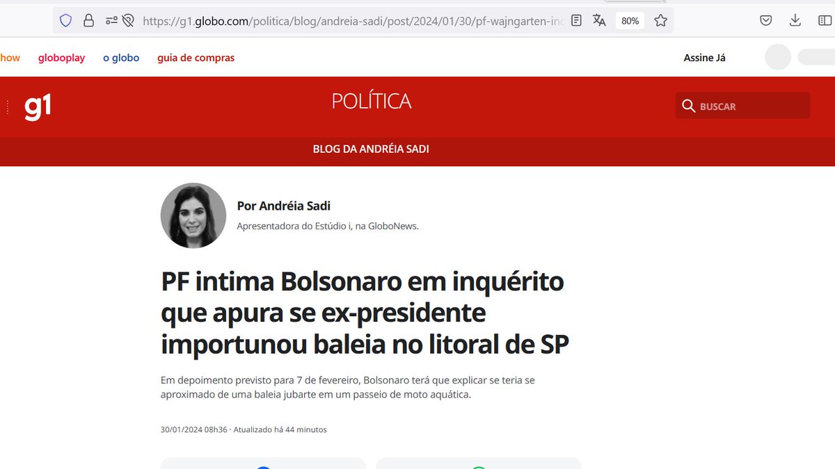 Imagina sonhar em ser jornalista e, com seu jornalismo corajoso, ajudar a trazer a verdade, combater a corrupção, proteger o pobre, ajudar os mais fracos, combater a tirania, elevar a razão, enaltecer a ciência, mudar o mundo, e daí você acorda e vê que virou a Andreia Sadi