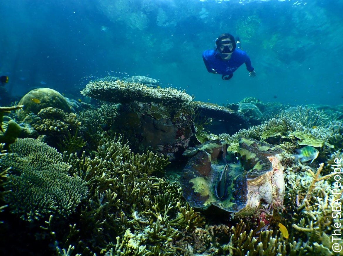 Planète Mer tweet media