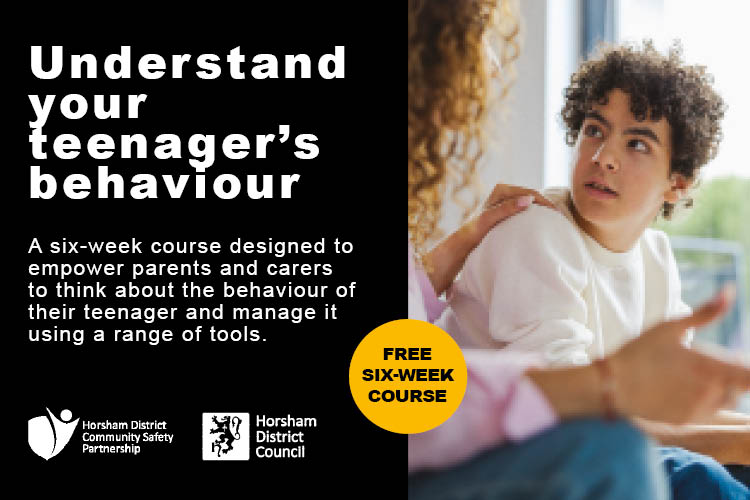 Horsham District Council tweet media