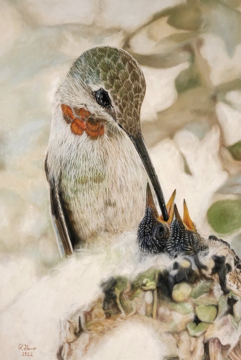 Hummingbirds R messengers 2 remind U to think about what brings U joy. 
This elevates your vibration.

We ❤️hummingbird art. 
This Mom feeding her babies took 
60 hours 4 the artist 2 create. 

What brings you joy? 
Comment below ⬇️❤️

#Hummingbirds #lovetrees #thicktrunktuesday