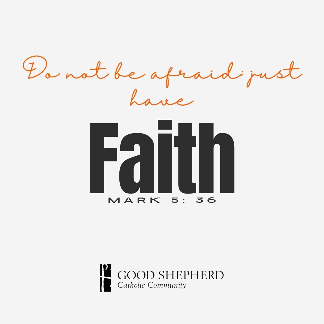 goodshepherd_tx's tweet photo. 4th Week in Ordinary Time https://t.co/tSgqOVUVWS