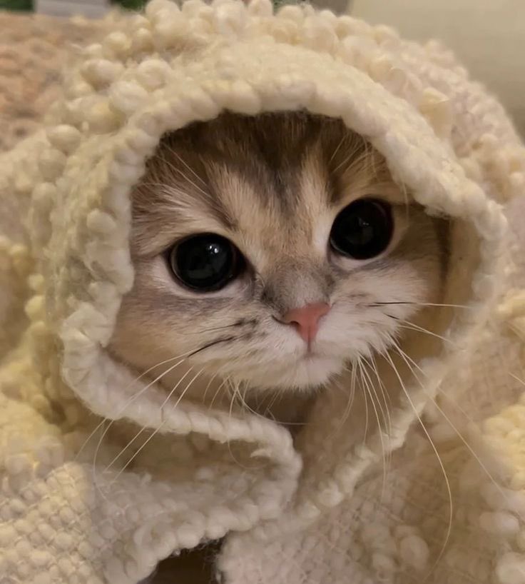 Hi! I'm finally well ☺️.
How are you doing?