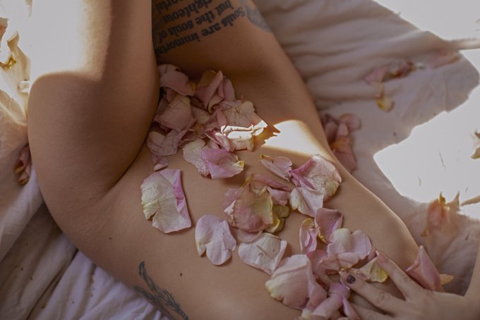 Pink roses 💕 a tribute to my fans https://t.co/80adYwFRUh
