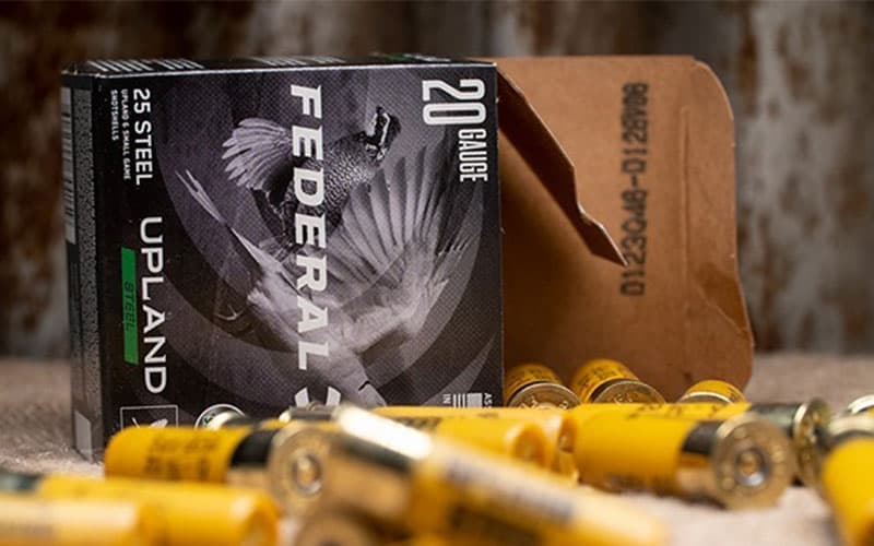 outdoorsmencom's tweet photo. Federal Announces New Prairie Storm Upland Loads!
-
https://t.co/UEn9gmMukD
-
-
-
#federal #ammunition #prairiestorm #outdoorsmen #bismuth #hunting #upland #huntingseason #pheasanthunting #quailhunting https://t.co/Tc8bcAVyBT