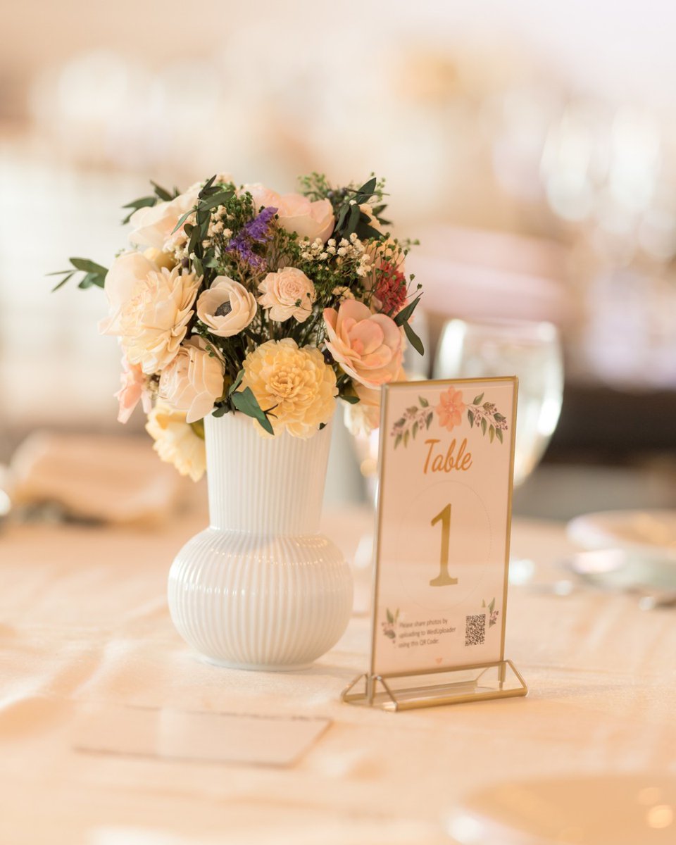TimberPointCC's tweet image. Where flowers bloom, so does love. Cheers to a table filled with both! 🌸 
-
#LessingsWeddings #TimberPoint @Lessingsweddings 
📸 : @Parkavestudio