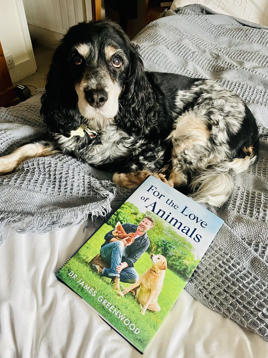 #CharityTuesday thank you to @BBCMorningLive vet and @DogsTrust supporter @drjgreenwood - his book ‘For the Love of Animals’ has been going down really well with our staff (and their dogs 😉). This is 12-year-old Max, who belongs to Katrina from our @DTScholars team 👍