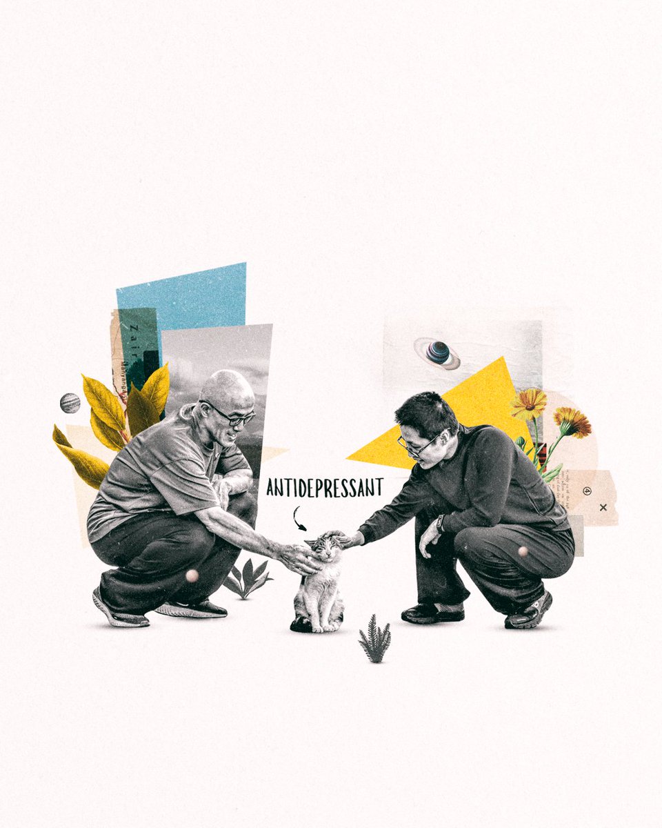 Antidepressant 🐈🐈