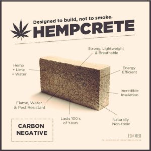 CivilSociety183's tweet photo. It's time to #BuildWithHemp! ๐ก๐ฑ
โก๏ธHemp is a sustainable, renewable resource that can be used to build strong, healthy homes. ๐ โป๏ธ
โก๏ธHemp homes are fire-resistant, pest-resistant, and offer superior insulation.
โก๏ธThey also help to clean the air and reduce carbon emissions https://t.co/bALtfh9ZPM