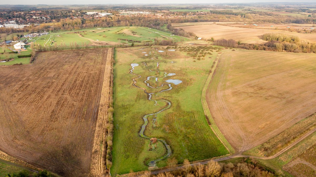 River restoration on the river Wensum with @N_Rivers_Trust & @EnvAgency * 8 hectares of the floodplain were restored * 4 shallow ponds * 2 pools * Sediment trap * 1100 meters of channel were created * Improved water quality * Reduced flood risk