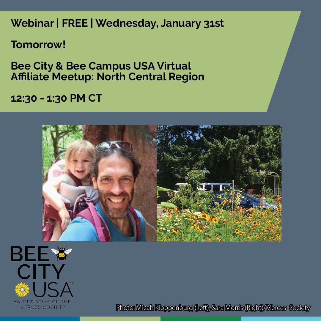 BeeCityUSA's tweet photo. Join us tomorrow @ 12:30 pm CT for our North Central Region Virtual Affiliate Meetup! Feel free to join us if you are a Bee City/Campus affiliate in CO, IL, IA, MT, ND, MN, NE, SD, WI, and WY.
Register: https://t.co/VDWYzSKXt7 https://t.co/f0EPPGnUYn