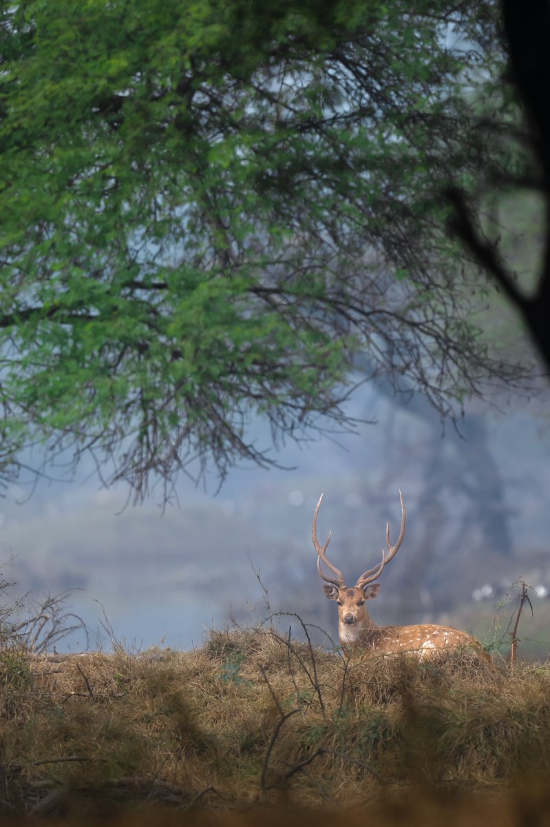 Subhash Nair tweet media