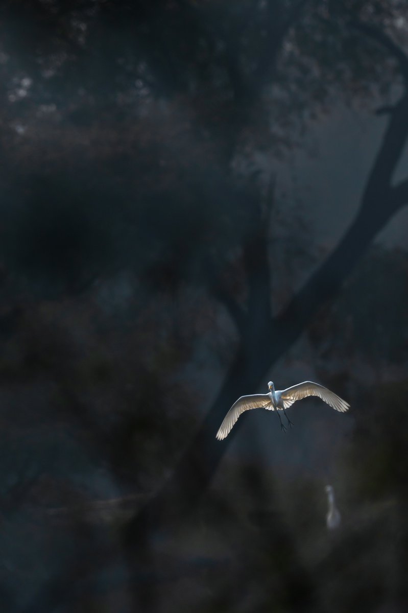 Subhash Nair tweet media