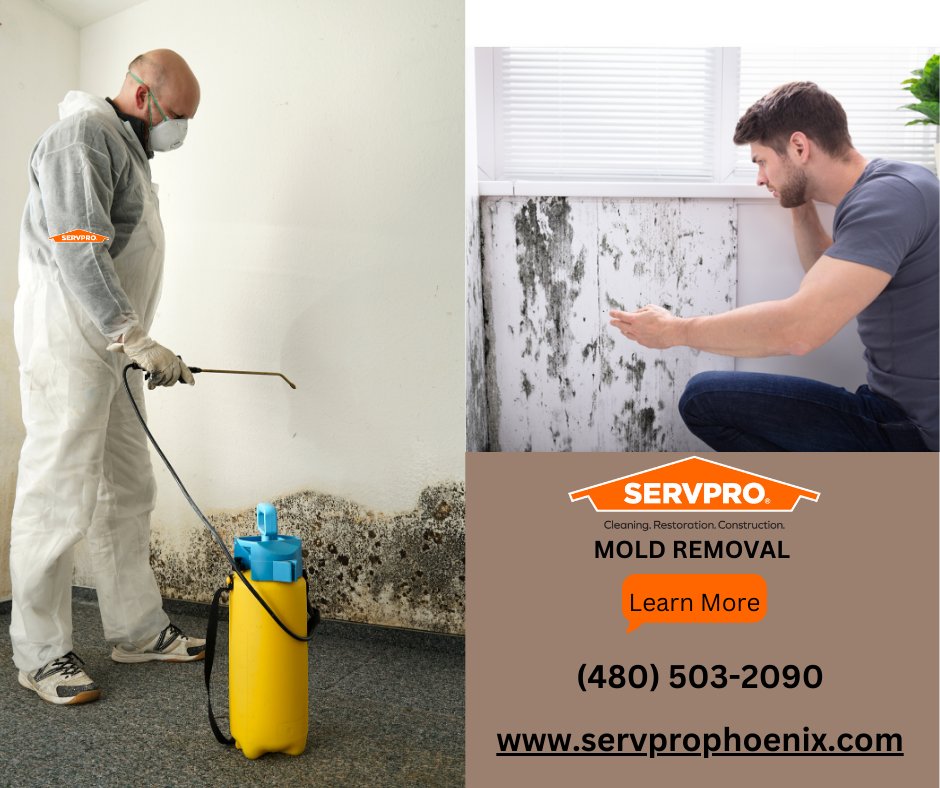 How dangerous mold can be, and what causes mold to grow? 

Please read the article below to find all the answers: 
servprophoenix.com/blog

#moldremediation #moldremoval #MoldFree #SERVPROTeamPhoenix