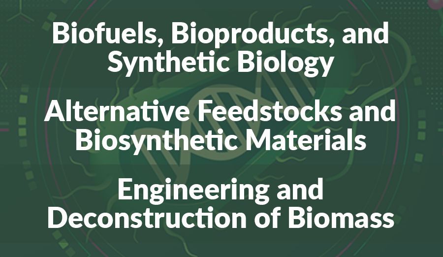 SIMB_Microbio's tweet photo. Exciting opportunity to present your #research at this year's Symposium on Biomaterials, Fuels and Chemicals! The deadline is fast approaching. Submit your abstract today and join the discussion. #46SBFC #biomaterials #biofuels #syntheticbiology #feedstocks https://t.co/jT5uvkxS6P