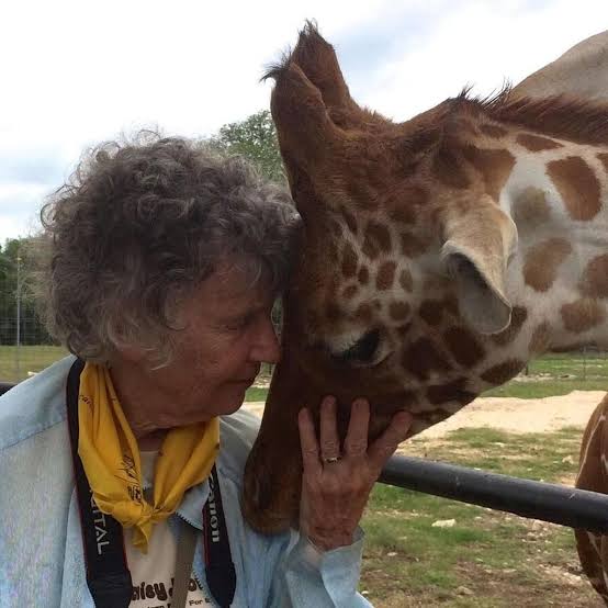 'Be kind to nature and the animals with whom we share the world. It is my everlasting hope that people will treat animals and their environment with the same respect as we treat each other.'
Dr. Anne Innis Dagg
#SaveWildlife #SaveGiraffes 
#BanTrophyHunting #endpoaching