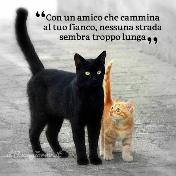 CasaLettori's tweet photo. Chi smette di esserti amico non lo è mai stato

Esiodo

#Riverberi a #CasaLettori https://t.co/s2zHU3x8zl