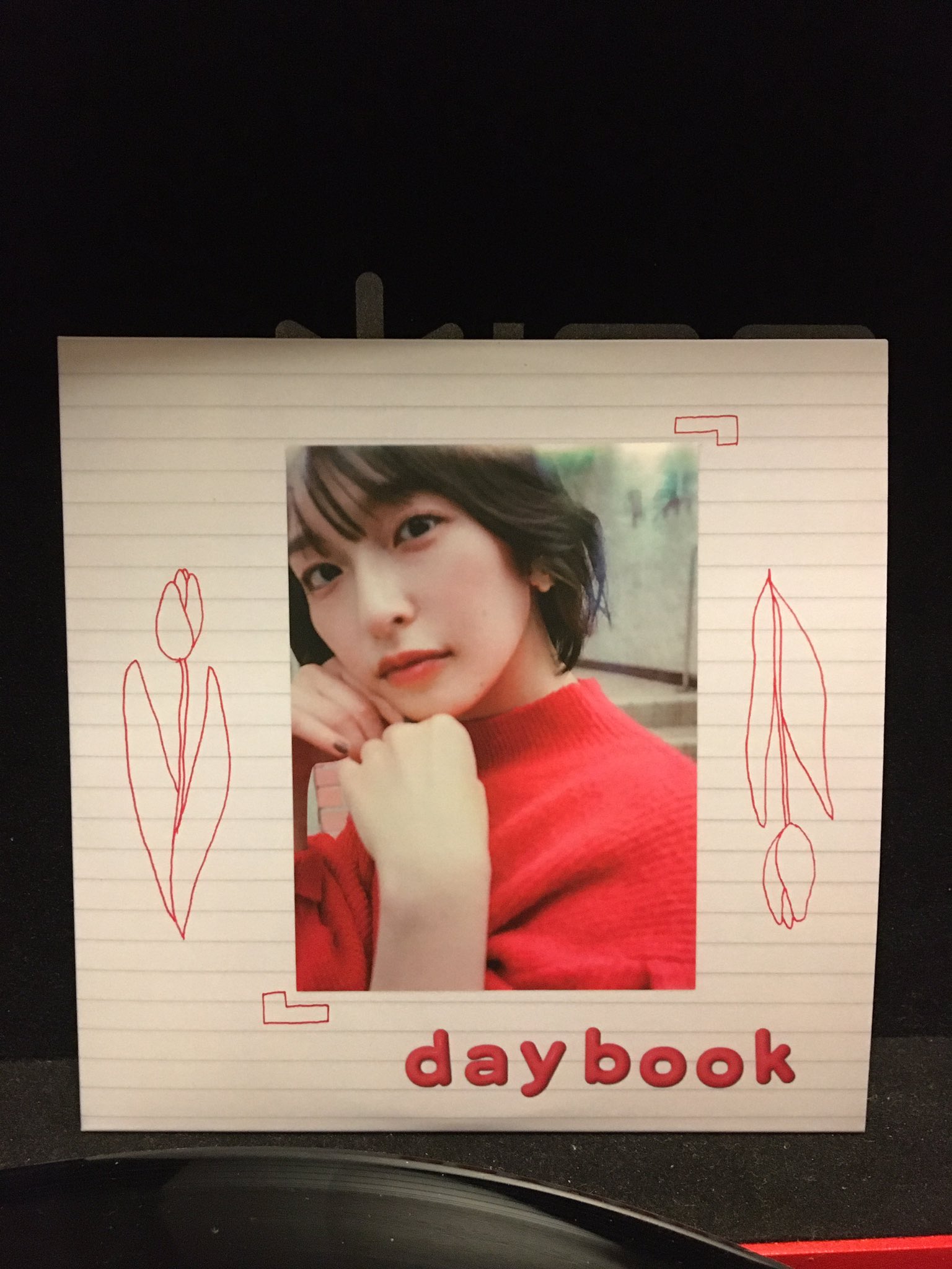矢川葵 / daybook #2 矢川葵カバーシングル「daybook」第2弾がCD化、オフショット生