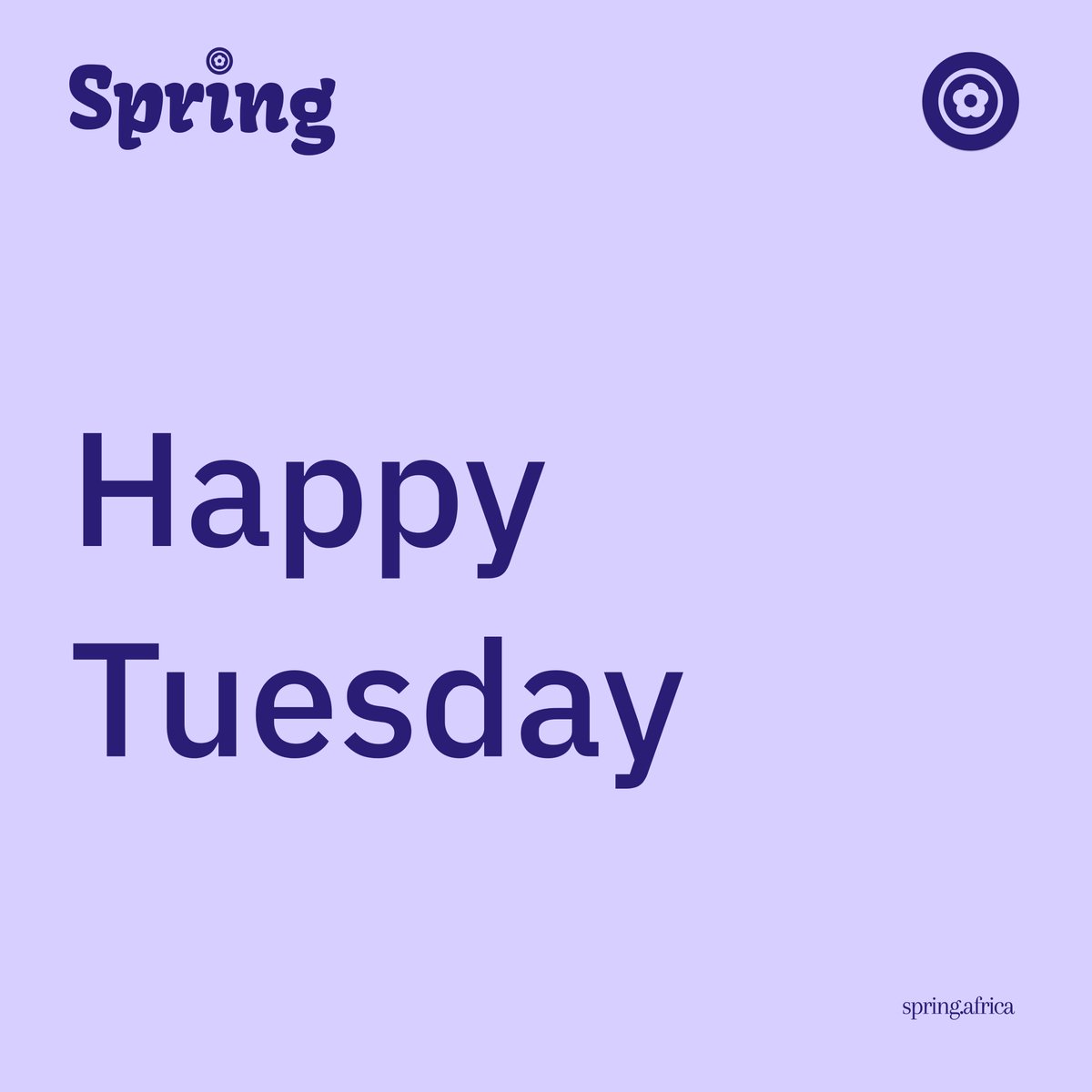 thespringafrica's tweet photo. Work hard, play hard! https://t.co/99dvaIGKMc