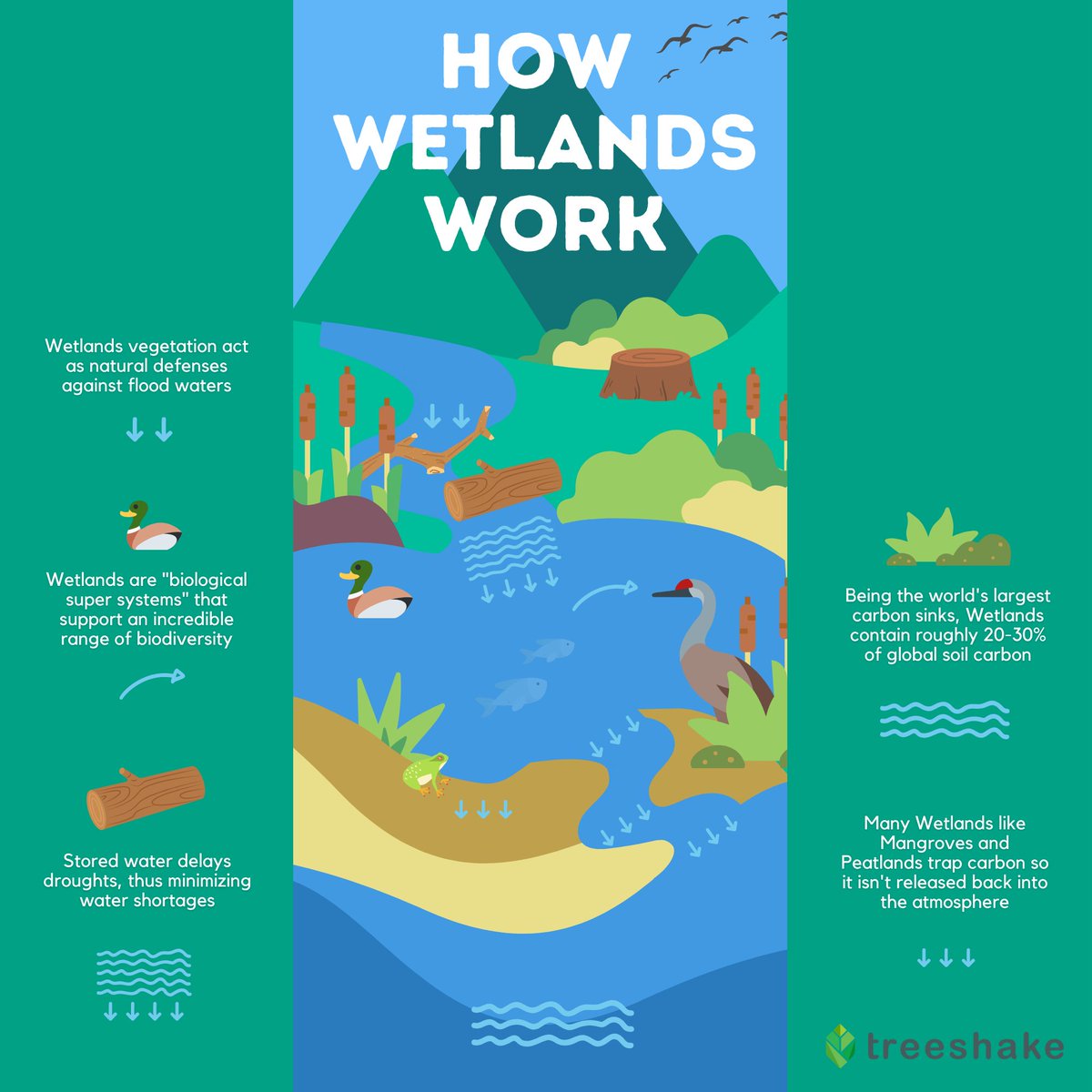 UNCCD's tweet photo. Did you know wetlands:

🦆 Reduce flood risk
🦆 Control soil erosion
🦆 House biodiversity
🦆 Purify water
🦆 Trap carbon
🦆 Provide "insurance" against #drought

#WetlandsAreNotWastelands: get ready to celebrate these amazing ecosystems on 2 Feb. #WorldWetlandsDay 

#UNited4Land https://t.co/BrRFf5k1JL