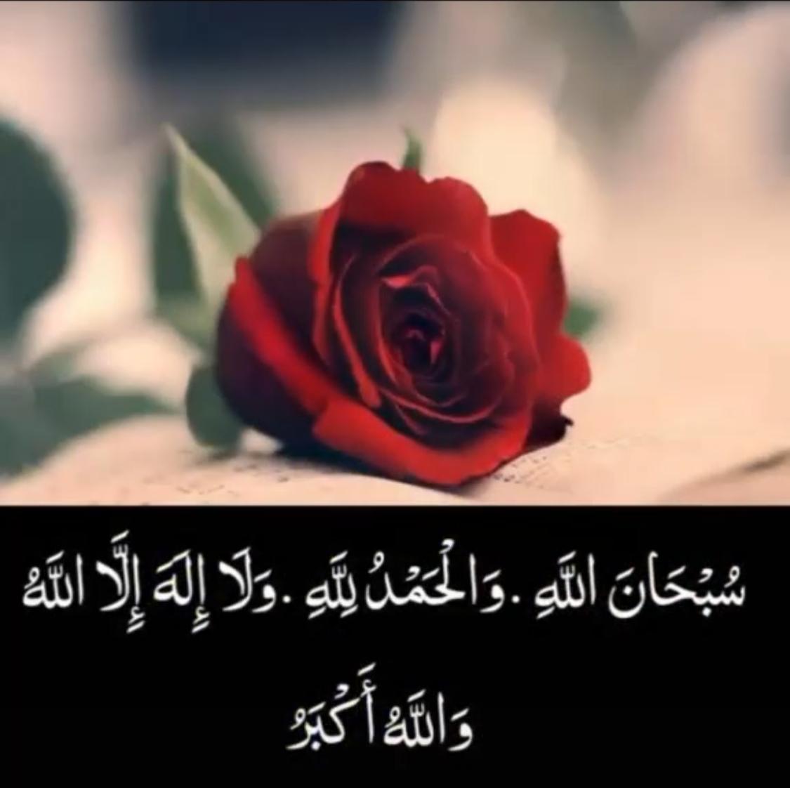 Remember 
The mentality of revenge does not build a state.
While the mentality of tolerance ... Build nations..
Good Night