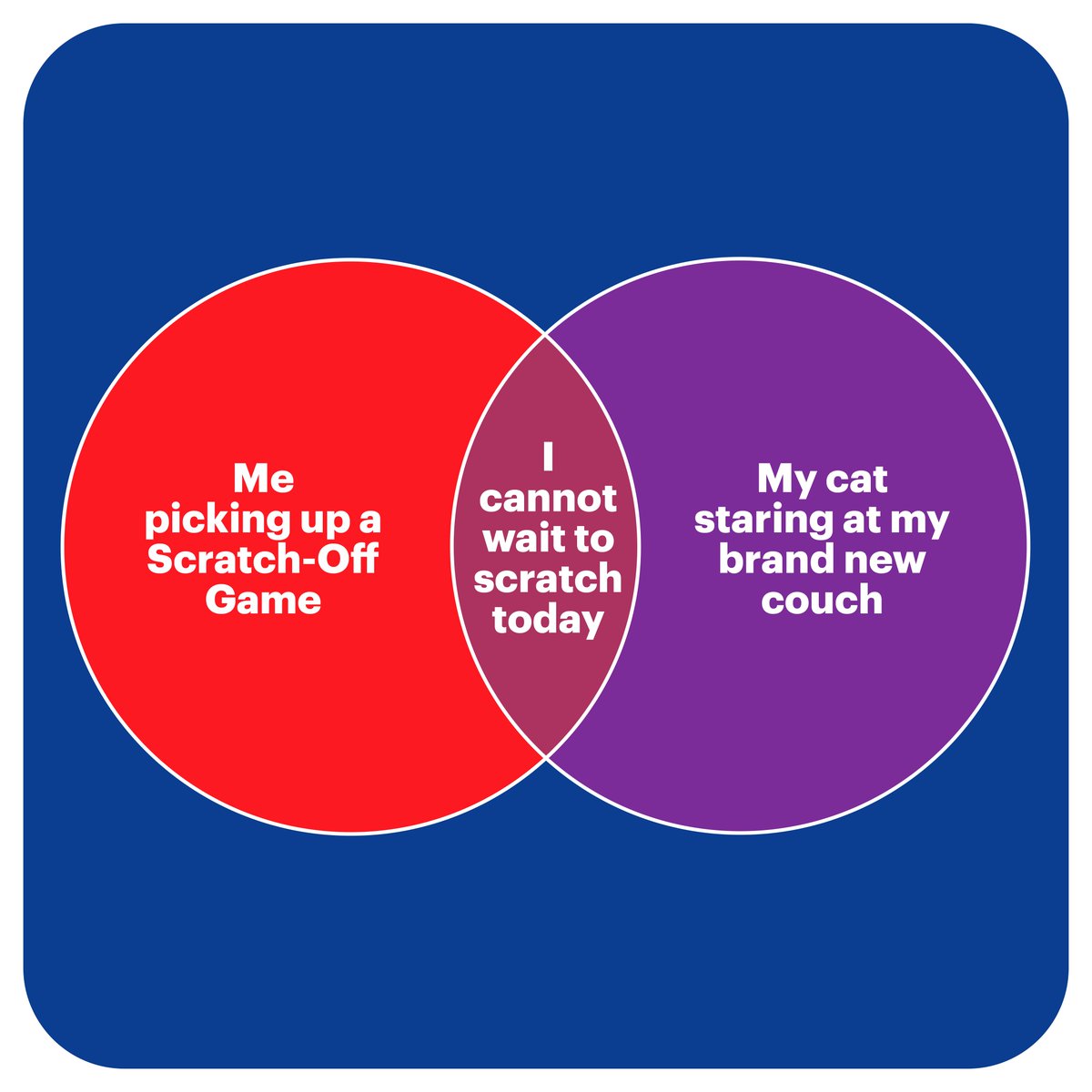 newyorklottery's tweet image. Celebrate your winnings — and keep an eye on your four-legged friends. 👀 #PleasePlayResponsibly #NewYorkLottery #Scratching #VennDiagram #MustBe18+