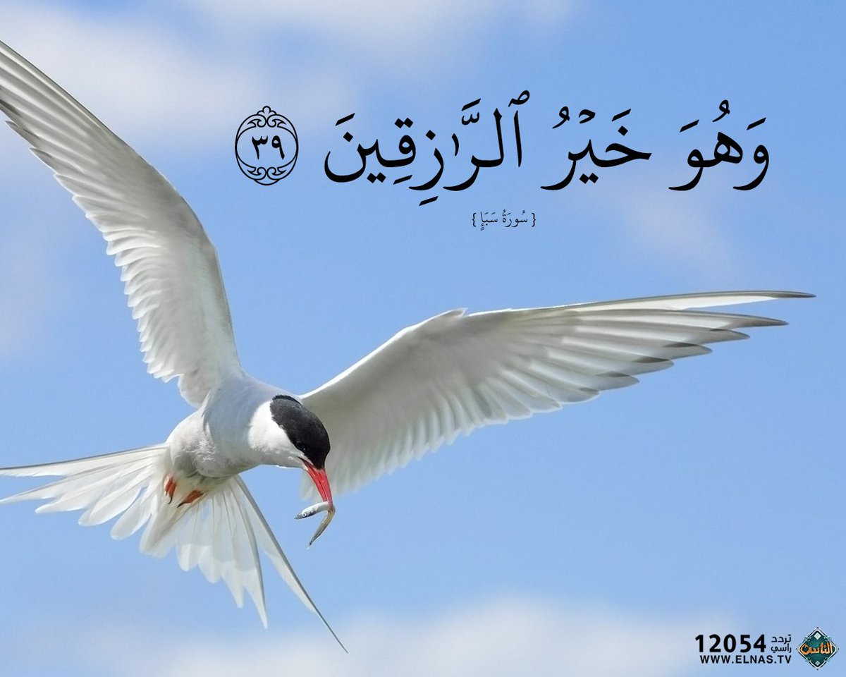 _Aa110 tweet picture