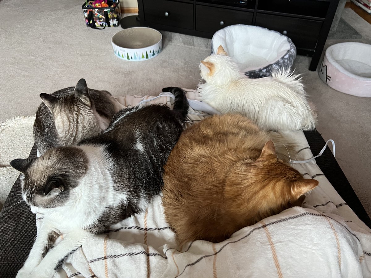 ItsMeDeaner's tweet photo. #breakfastclub is full https://t.co/7ZJH4aSTrO