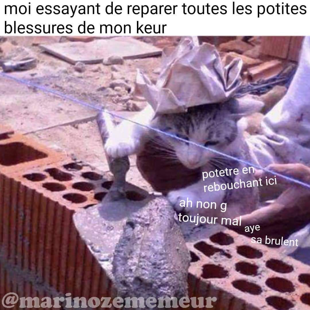 Anthropolegiste's tweet photo. Parfois je pense à Marinozememeur et je me demande ce qu'il est devenu, j'étais un fan de la première heure...
Son dernier meme date de juillet 2023.
Je pense à toi où que tu sois mon frère. 😔🫶 https://t.co/7mBj71WdbJ