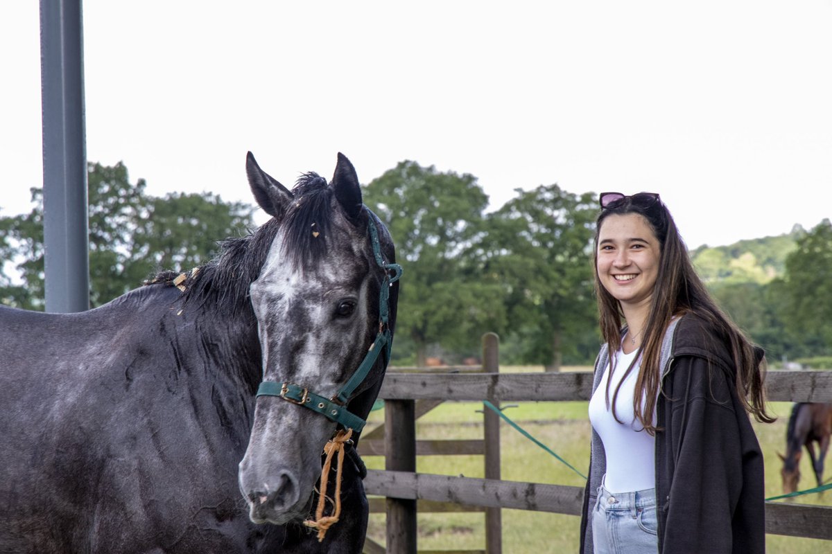 Sayed Hashish tweet media